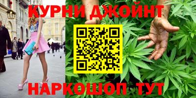 spice Дубна