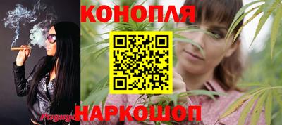 spice Дубна
