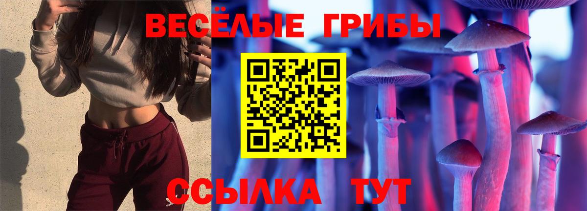 Галлюциногенные грибы Magic Shrooms Назрань